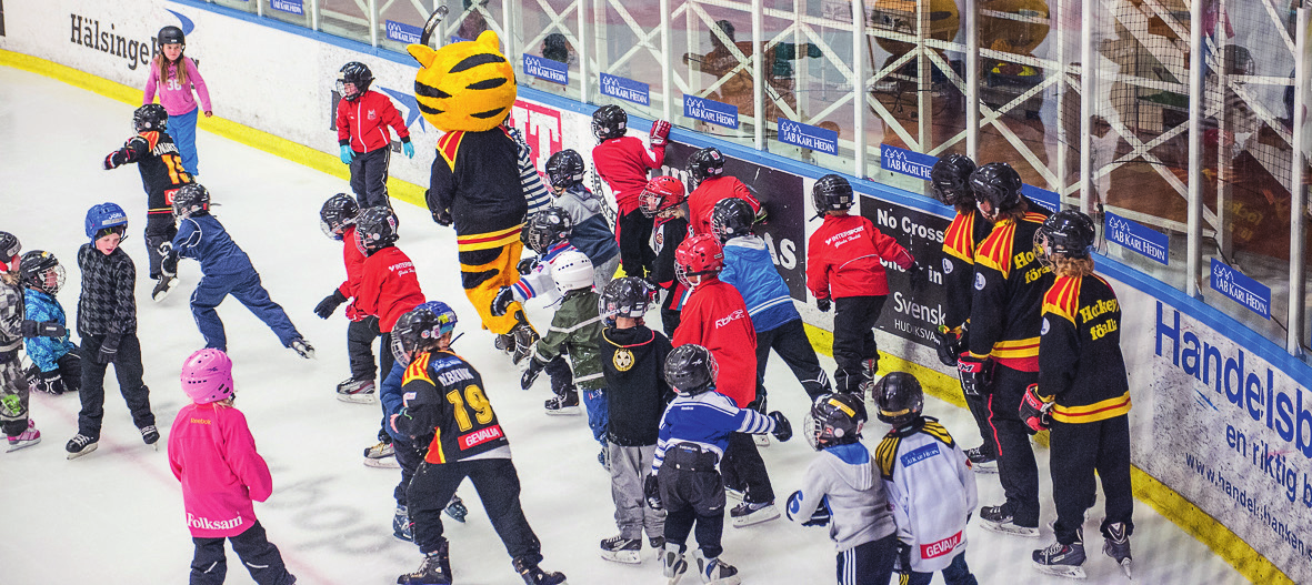 Jämställdhet Hockeyn med många killar och gympan med många tjejer kan komplettera och stärka varandra som föreningar med syftet att lyfta fram jämställdhet.
