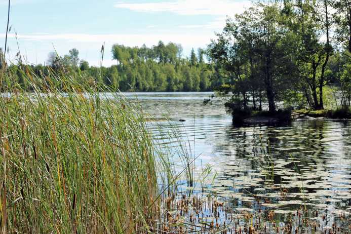 Obebyggd fastighet vid sjö, 6