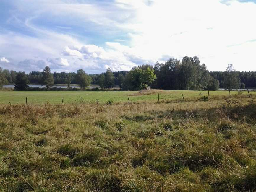 förhandsbesked Vy