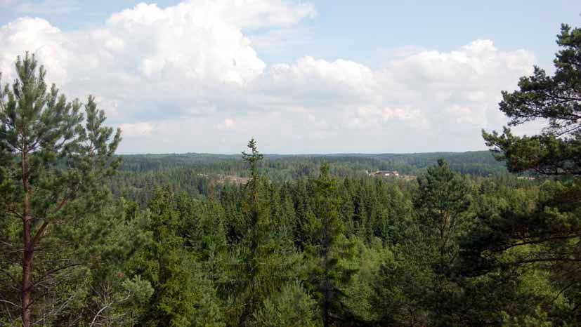 Förstudie natur Projekt Ledum, Tanums kommun Översiktlig biotopkartering samt