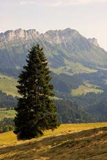 ENTLEBUCH: 17 000 invånare, 39 000ha Besökarstatistik ÅR Måltider Övernattningar