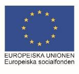 COMPETENCE ACADEMY TOURISM Tourism in Skåne AB och Region Blekinge har beviljats bidrag från Europeiska Socialfonden (ESF) på tolv miljoner kronor för att stärka kompetensen hos företag inom