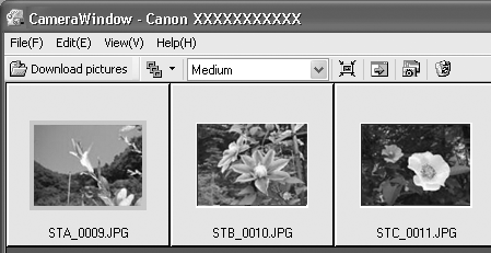Bilderna i kameran eller på minneskortet visas som indexbilder i kamerabläddrarfönstret.