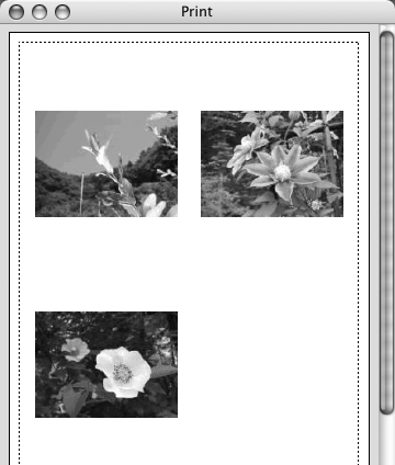 Du kan markera flera bilder genom att hålla ned SKIFT- eller [ ]-tangenten (kommandotangenten) samtidigt som du klickar på flera bilder.