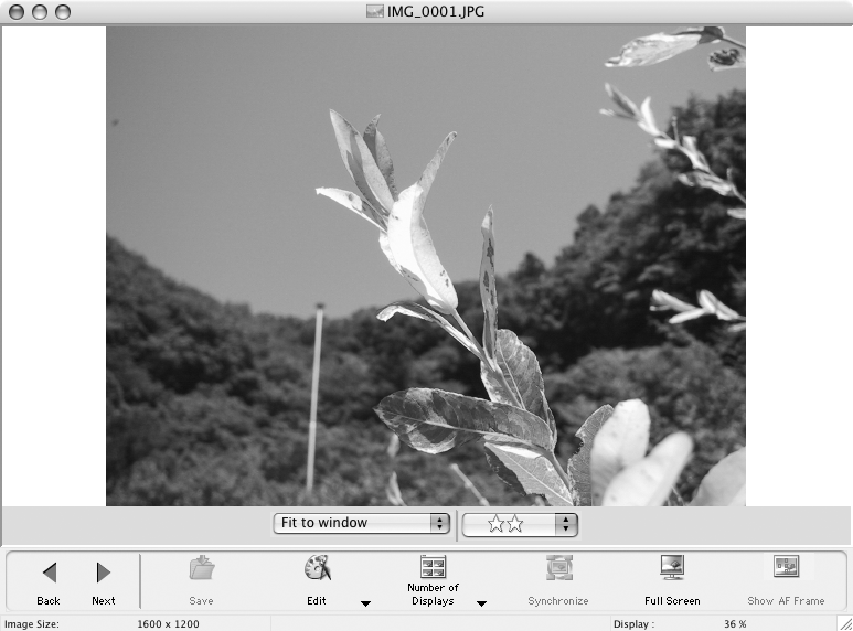 Macintosh Fönster i ImageBrowser 63 Visningsfönstret Visa en bild i visningsfönstret genom att klicka på bilden i bläddrarområdet. Zoomreglage Ändra zoominställning genom att dra i reglaget.