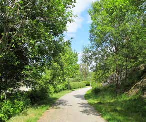 5. SOLGÅRDEN BJÖRNDALEN NÄRPARK Naturkvarter Ca 4,7 ha D:VII/1990 Natur: naturområde, D:II/1991 Natur: naturområde Solgården är ett naturstråk som sträcker