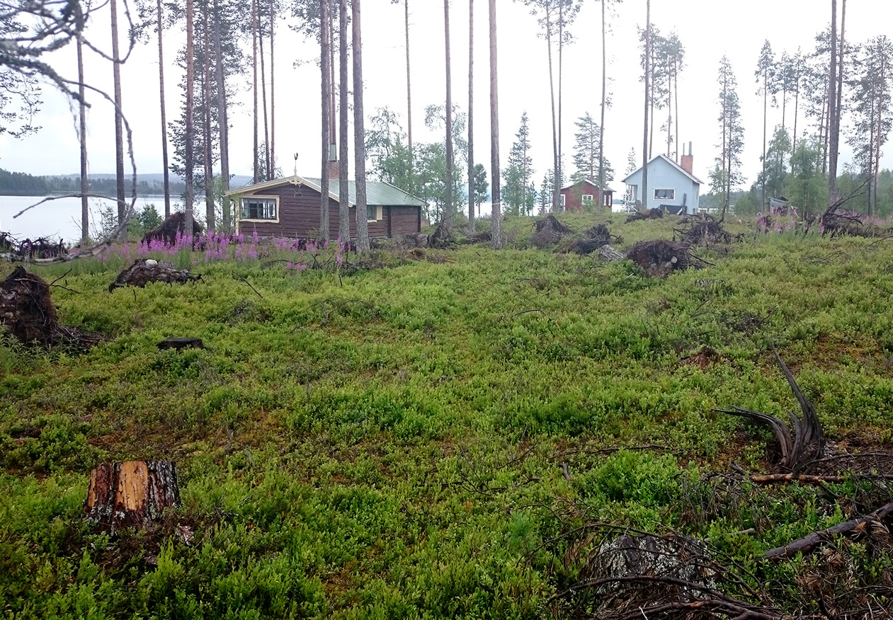 Stormskadad stenåldersboplats i Rätan RAÄ Rätan 10:1 Rätan sn,