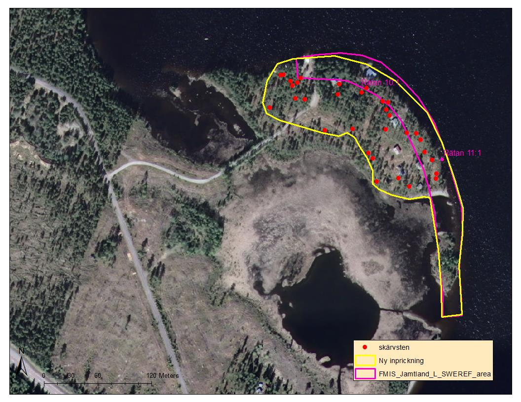 Karta över området med den inprickning som fanns i FMIS före utredningen samt samtliga rotvältor (gula prickar).