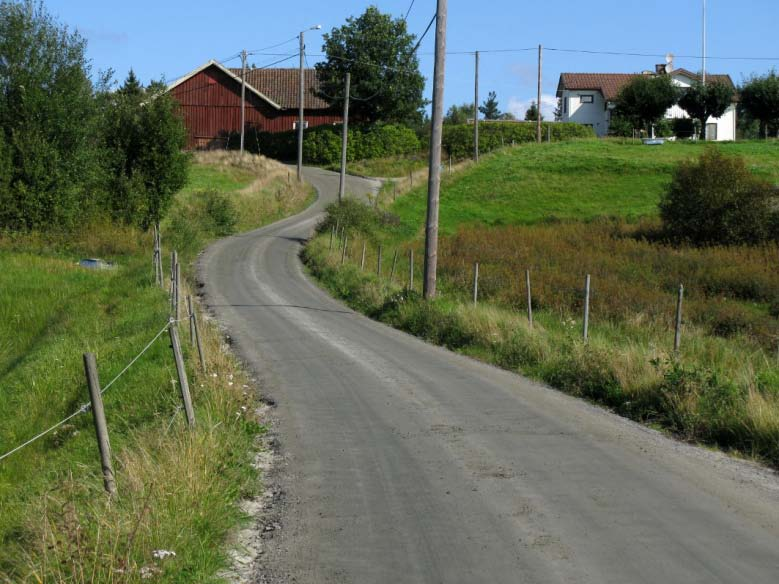 Gamla kulturlandskap med hagmarker, blomrika vägrenar och sandig mark är mycket värdefulla för många gaddsteklar (fig. 4 och 5).