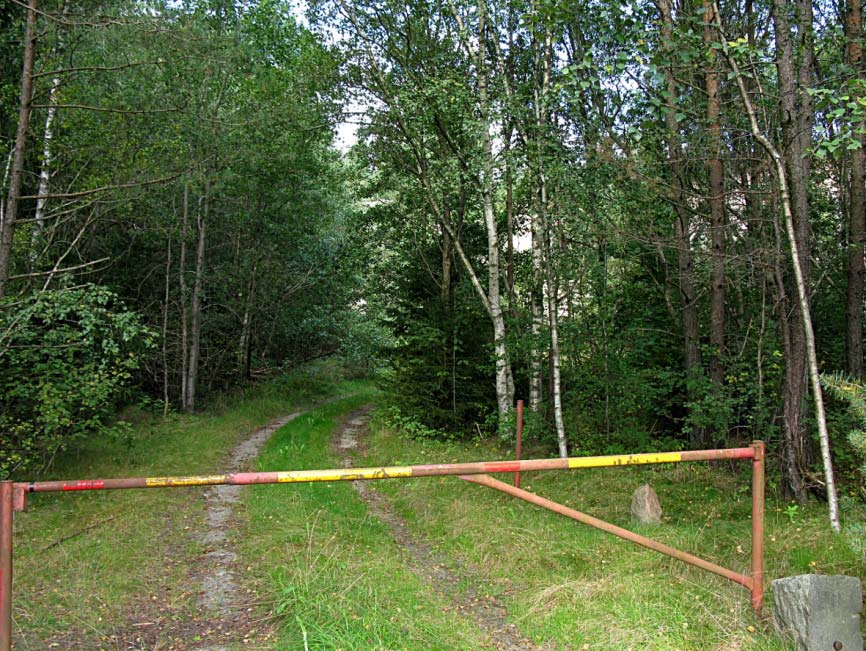 Slåtter bör även fortsätta västerut i mer högvuxen vegetation utanför själva sträckan. Den slagna vegetationen bör samlas ihop och föras bort.