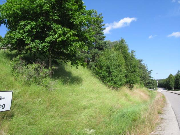 åkervädd, prästkrage, kråkvicker, femfingerört, johannesört, gullris, åkervädd, kungsljus, röllika Blommande träd och buskar: Oxel, rönn, sälg,