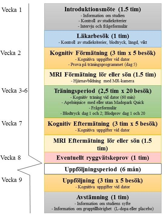 Träningsperiod Under fyra veckor (måndag-fredag) kommer du att genomföra ett datoriserat kognitivt träningsprotokoll.