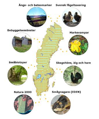 Inom NILS bedrivs många olika typer av projekt, från interna utvecklingsprojekt till uppdrag och samarbetsprojekt med forskare och andra miljöövervakningsprogram.