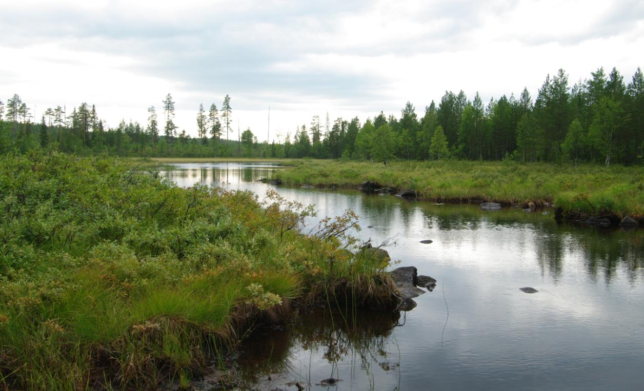 Sammantaget är givetvis Slagnäsforsen det stora besöksmålet även om det bara är en rest av vad forsen