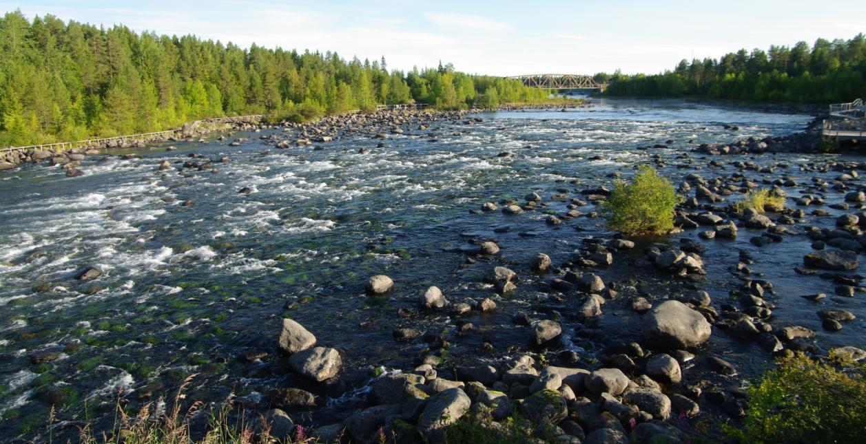 Särskilt värdefulla frilufts- och närnaturområden Delområde 1 Slagnäsforsen Slagnäsforsen är cirka 500 meter lång med en fallhöjd på 18 meter.