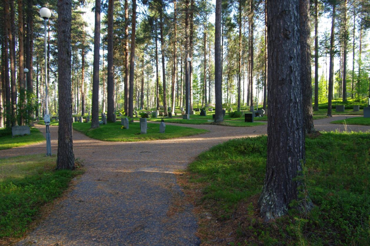 Delområde 3 Tallskog vid kyrkogården Storlek: Cirka 1,5 ha Tallskog vid kyrkan med en del äldre träd. De äldsta träden är uppemot 150 år och ger kyrkogården en vacker och ålderdomlig karaktär.