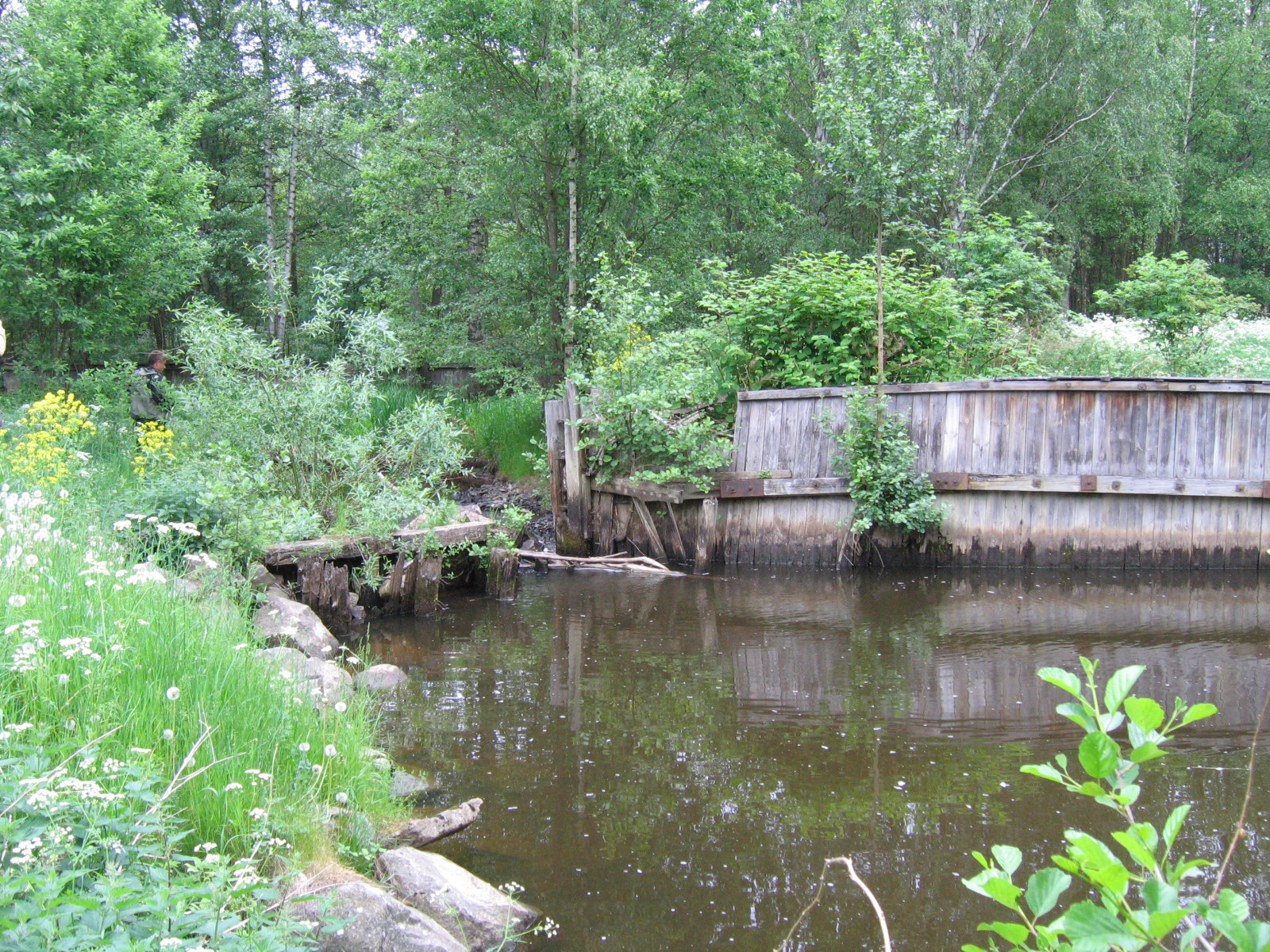 1. Utloppet Loddby Förbättrad fiskvandring I Pjältåns nedre del vid Loddby finns rester efter en numera utriven damm. Dammen nyttjades för ett pappersbruk som tidigare låg i närheten.