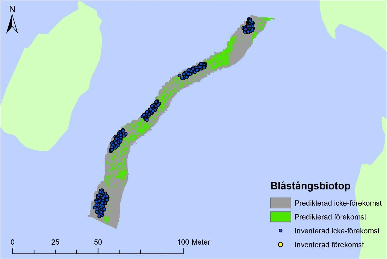 AquaBiota Report 2016:03 Figur 34 Prediktionskartor för transekt 3 & 4 (övre bilden) samt för transekt 5 (nedre bilden) i Stockholm som representerar