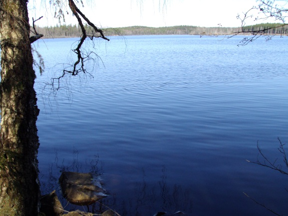 (ÅO Bivarödsån)