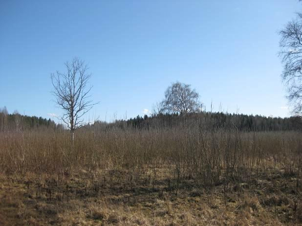 Planområdet omfattar även del av Klöv och Lilla Ullevi 1:10 som ägs av privatperson. E.ON har förvärvat del av fastigheten Bro-Önsta 2:10.