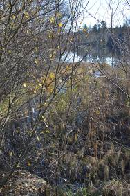 En grävmaskin kan stå på land och gräva bort vegetation och rotfilm. Blockmaterial läggs ut som en vall mot den södra sidan så att en smalare mera markerad åfåra löper utmed uddens strand.