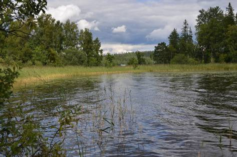 2A - Bäckens inflöde i Örken Tillrinnande bäckar till Örken 2011 Mynningsområdet är delvis igenväxt med bladvass, det bedöms dock som ett litet problem men man kan med fördel hugga en gata genom