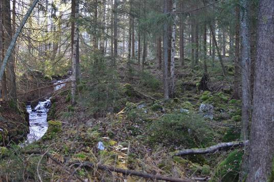 3C- Stampen, fiskväg Tillrinnande bäckar till Örken 2011 Rester efter äldre verksamhet, i princip helt raserat men ett brant fall på ca 2-3 m skapar ett definitivt vandringshinder.