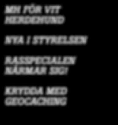 Nya i styrelsen