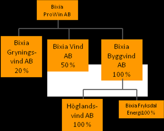 ProWins bolagsstruktur ProWin bildades som ett dotterbolag till Bixia och därefter fördes Bixias samtliga produktionstillgångar över till ProWin.