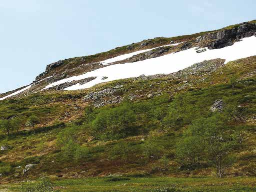 2 Getryggen O Berggrunden domineras av amfibolit och gnejs som täcks av relativt finkorniga jordar av glacifluvialt ursprung, morän och torv. På högre nivåer dominerar frostsprängt berg.