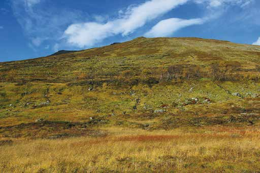 3 Getryggen SO Berggrunden domineras av amfibolit och gnejs som täcks av relativt finkorniga jordar av glacifluvialt ursprung, morän och torv. På högre nivåer dominerar frostsprängt berg.
