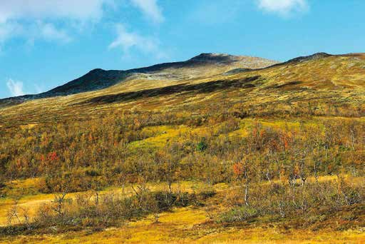 4 Getryggen S Berggrunden domineras av amfibolit och gnejs som täcks av relativt finkorniga jordar av glacifluvialt ursprung, morän och torv.