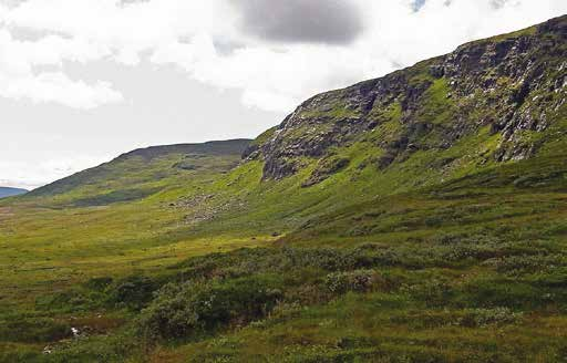 10 Storskarven O Berggrunden består av lättvittrade bergarter med god vattenhållande förmåga vilket avspeglas i vegetationens sammansättning och struktur.