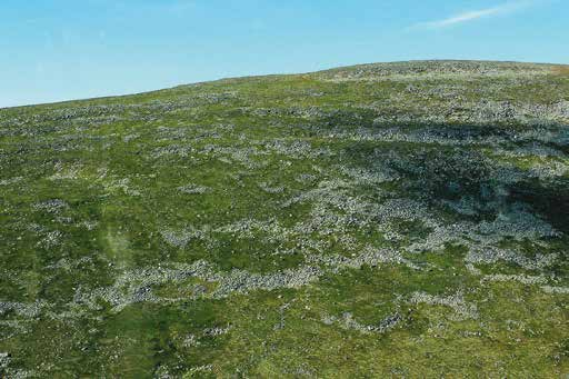 15 Brattriet SV Brattriet (1 276 meter över är ett brant och blockrikt fjäll med en berggrund av hård, svårvittrad kvartsit, vilket medför en artfattig