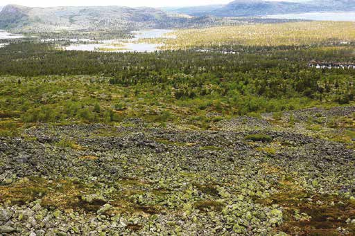 1 Slagufjället N Slagufjället (1 129 meter över är både sten- och blockrikt, men är trots detta ett av Dalarnas mest växtrika fjäll. Det gäller framför allt i de mot öster vettande branterna.