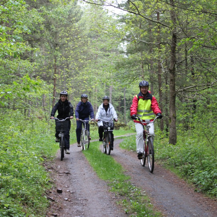 Invigning av leder i maj 2012 genomfördes ett invigningsarrangemang kopplat till den nya cykelleden. Någon övrig insats för att skapa intresse för lederna har inte gjorts.