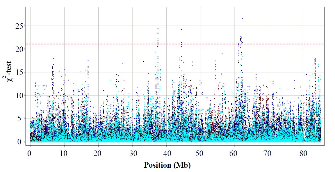 Figur. GWAS-analys av kromosom 6 i relation till löpe-inducerade koaguleringsegenskaper.