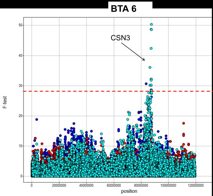 GWAS-analys av kromosom 5 i relation till löpe-inducerade koaguleringsegenskaper.