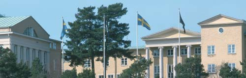 Swedish Women s Educational Association International, Inc. - PDF ...