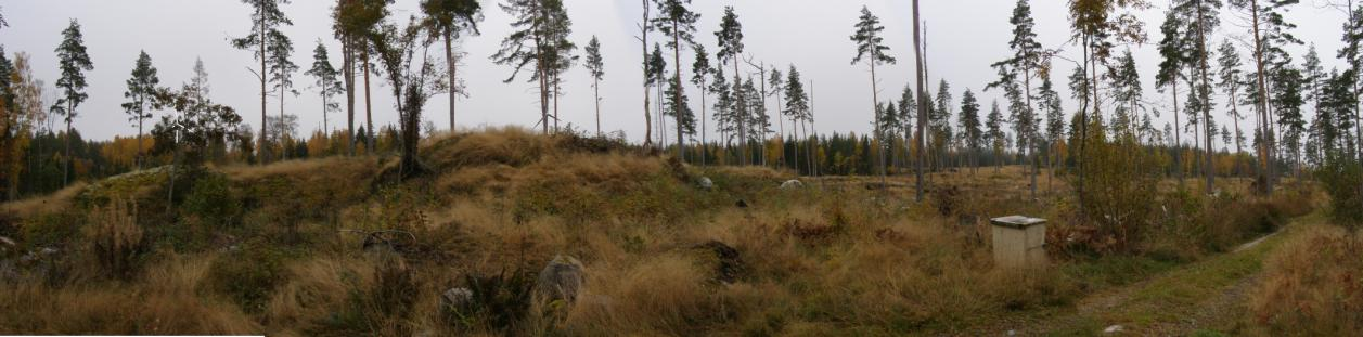 6.17 Visualisering från Hjälmarens strandområde (15) Från fotopunkt 15 är landskapet mera flackt i sin kupering, landskapet är också relativt öppet med en gles tallväxt.