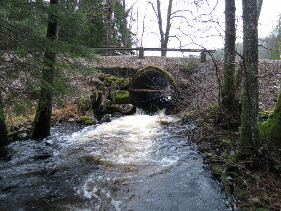 av vattendraget i övrigt. I svenskt elfiskregister finns ett elfiske rapporterat från 1986, då lake och flodkräfta påträffades. Bäcken är vattenförande året om.