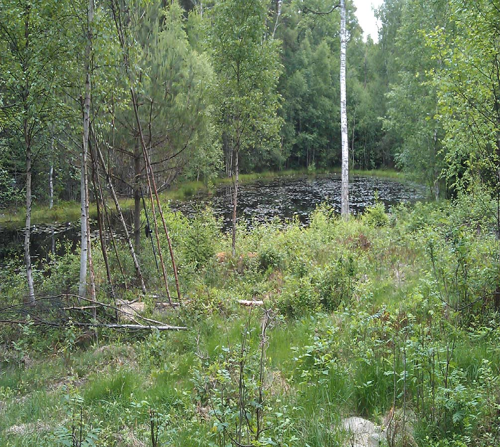 Stenåldersboplatser i Nödinge Avgränsande