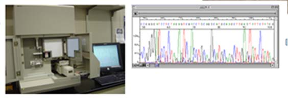 hastigheten Genomics