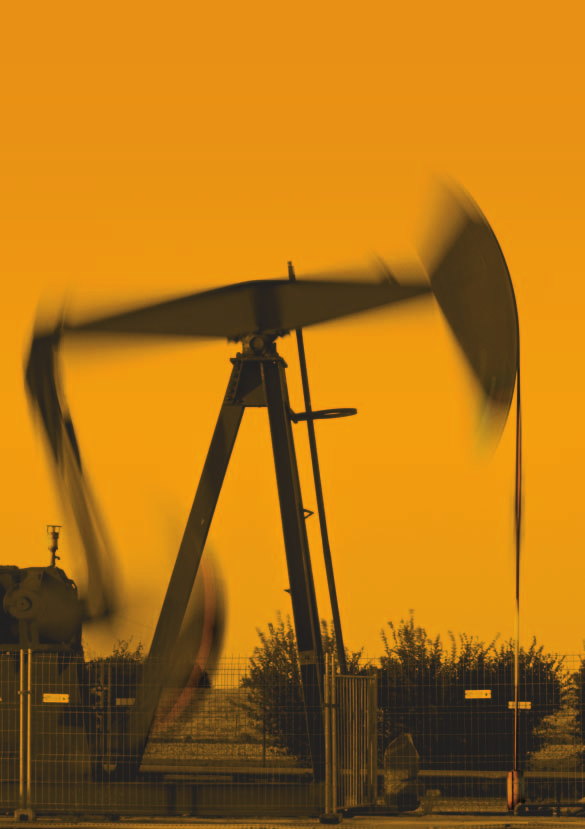 LUNDIN PETROLEUM AB (publ) RAPPORT FÖR