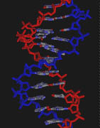 Separation och analys av DNA/RNA Bygger på laddning och storlek.