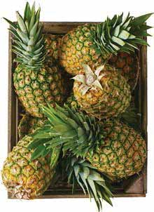 ananasen i tunna skivor och lägg