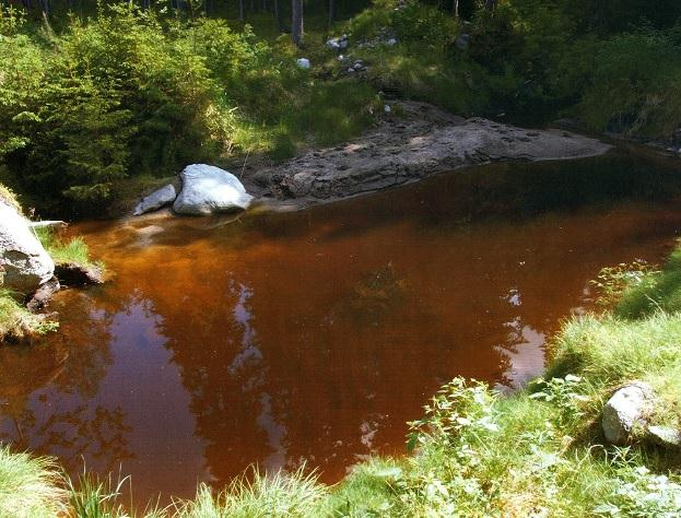 22 Bassängen på bild 5 hade fortsättningsvis slamkapacitet efter regnen. Med bredden 9 meter och längden 12 meter samt ett djup på 1,0 meter har den en slamkapacitet på 108 m3.