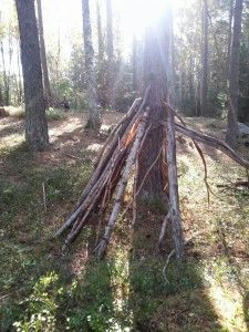 Mofflorna från klassen som vi lämnade på