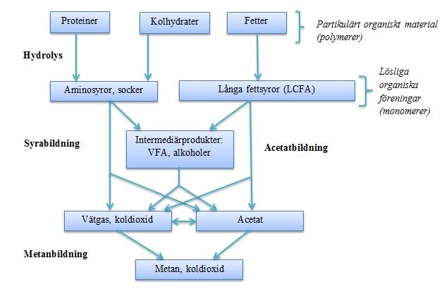 Figur 3. Schematisk bild över de anaeroba nedbrytningsstegen. Förutom att rötningen genererar energi i form av metangas fås även en stor reducering av slammängden (Henze, m. fl., 2008).