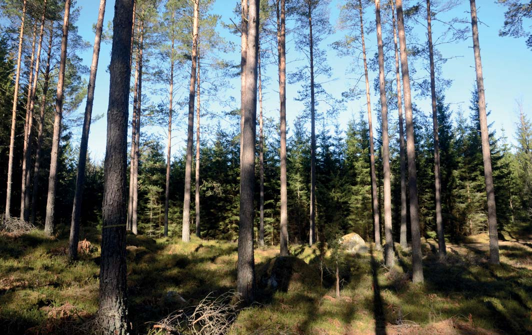 RÄTTSFÖRHÅLLANDEN FASTIGHET Del av Loftås 1:2, Nydala-Fryele församling, Värnamo kommun.